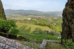 IMG_20240427_175611