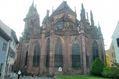 1611-201005Vogesen214