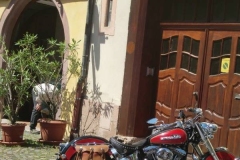 1650-201005Vogesen199