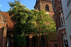 3339-2015-06-03-19.56.32