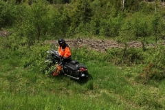 3385-2015-06-07-13.46.53