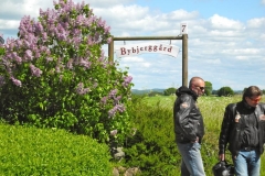 3492-No-Biergarten-DSCN4506_2