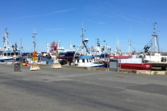 3511-Simrishamn-Fischerhafen-IMG_2234