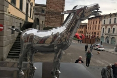 4118-IMG_8637
