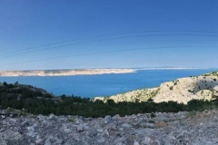 4657-NXTE4359-Mittel