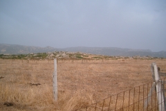 CIMG3394