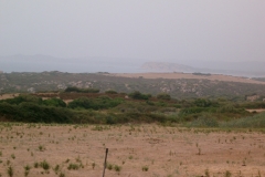 CIMG3395