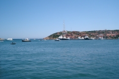 CIMG3461