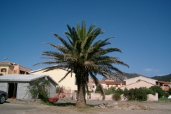 CIMG3472_1