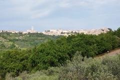IMG_20240429_082852