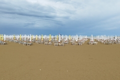 IMG_20240502_174704